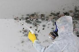 Mold Remediation for Rental Properties in Friend, NE